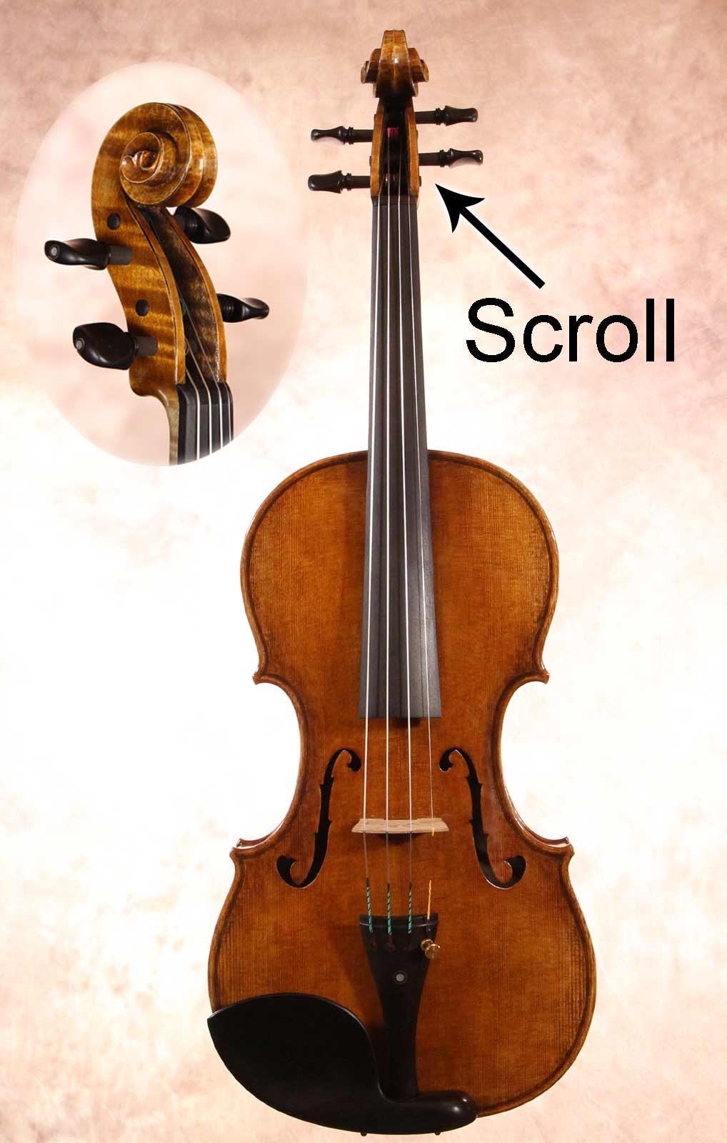 The Romantic School Of Music Free Music Flash Cards Parts Of The  the-romantic-school-of-music-free-music-flash-cards-parts-of-the